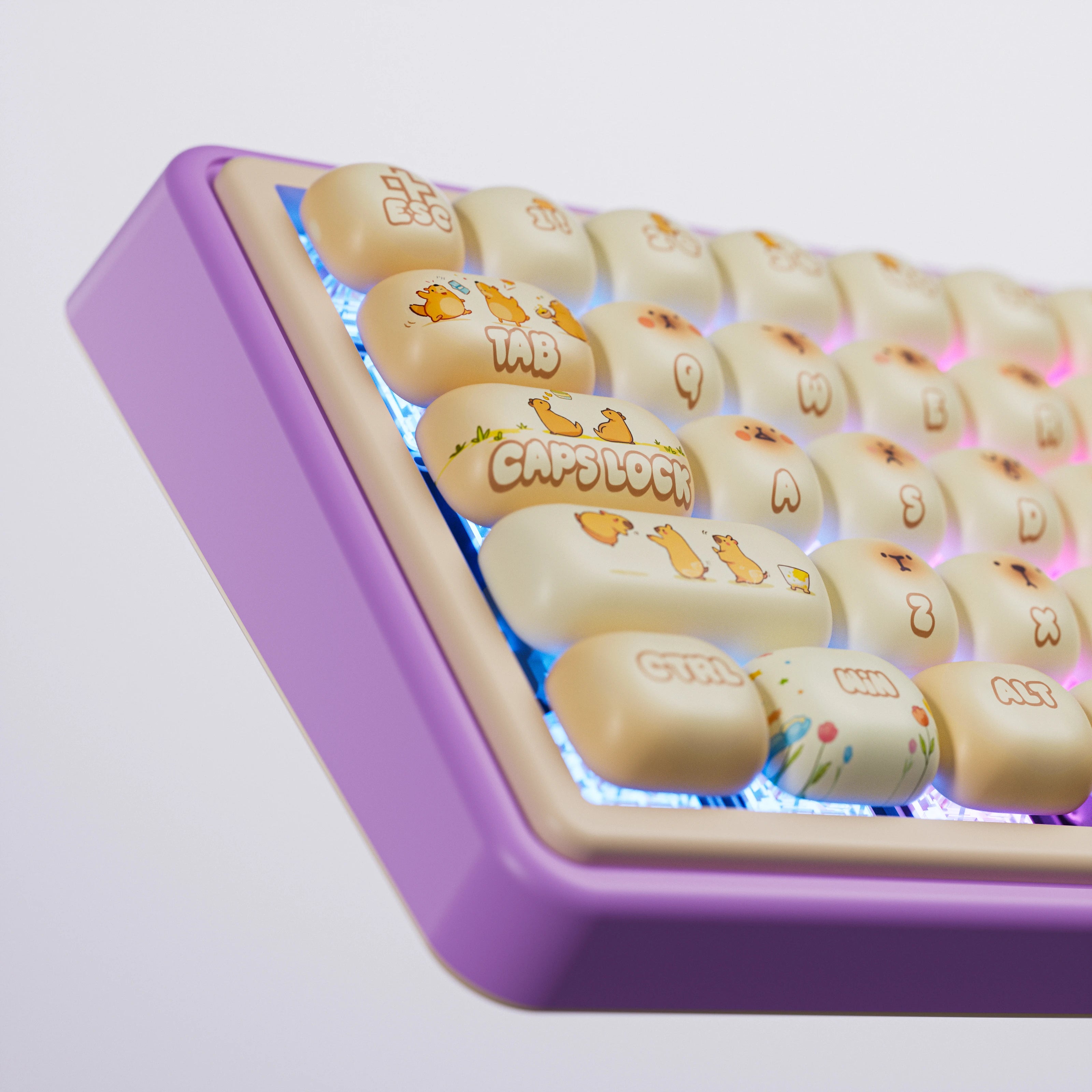 QwertyKey65 Pro Capybara Bluetooth Wireless VIA Hotswap RGB Tastatura Mecanica Gaming