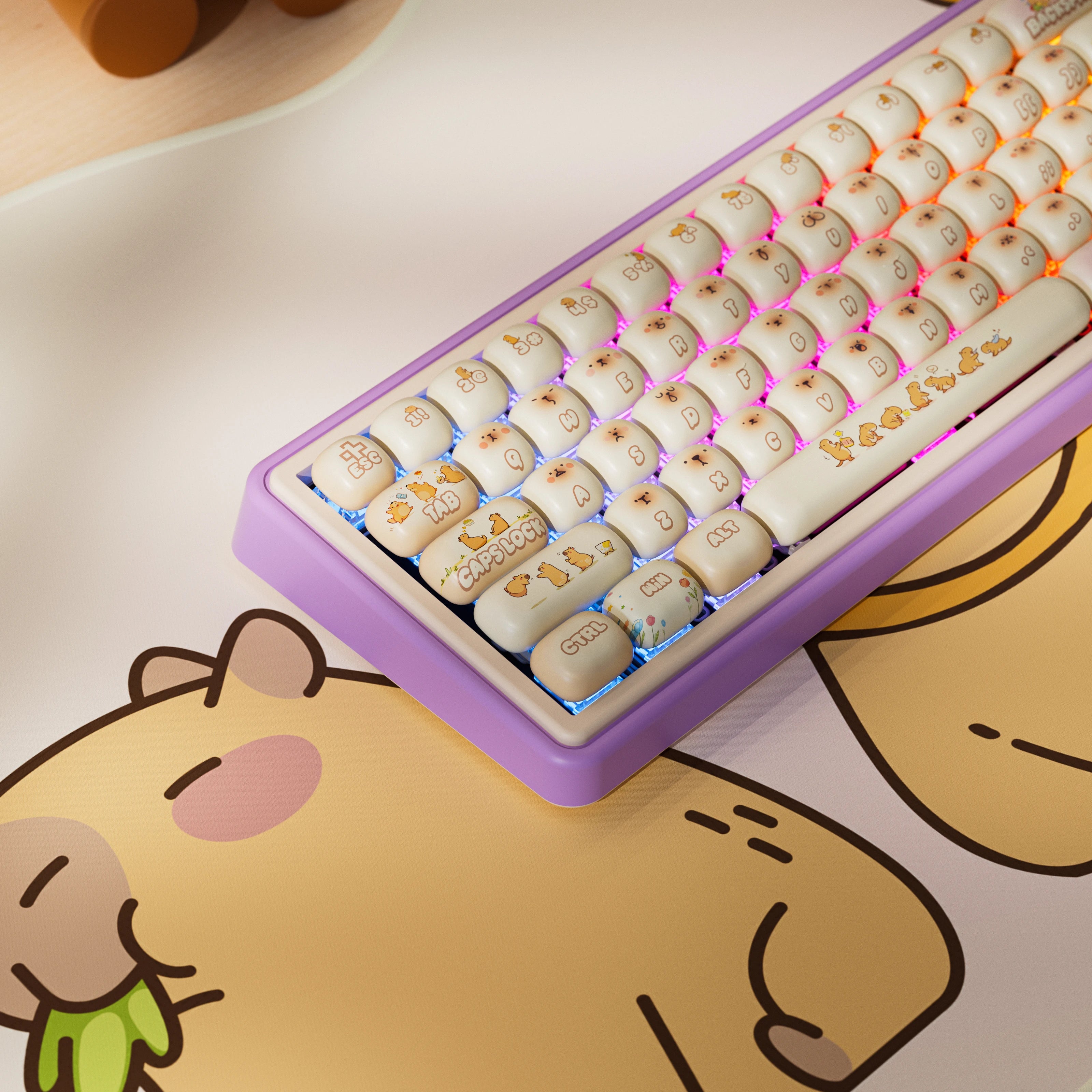 QwertyKey65 Pro Capybara Bluetooth Wireless VIA Hotswap RGB Tastatura Mecanica Gaming