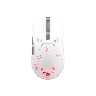 Kensington Expert Mouse USB 白 white Amazon.co.jp: KENSINGTON 02692 EXPERT MOUSE PRO (USB/PS2