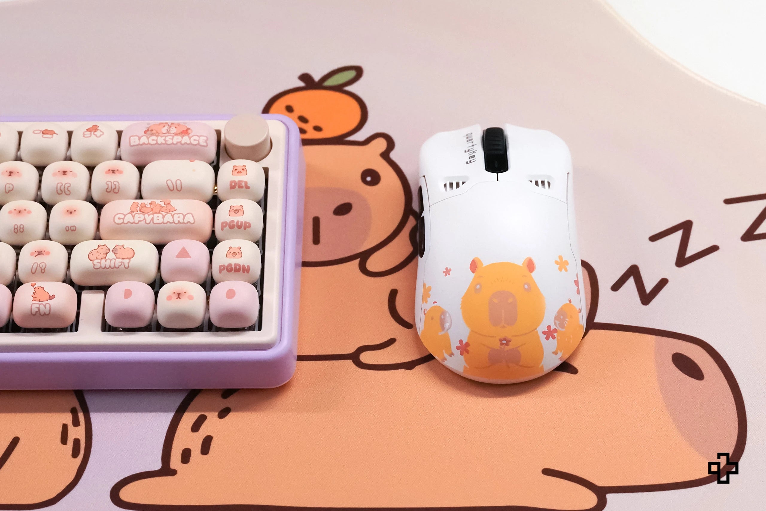 Cover Mouse QKM1 Capybara Alb